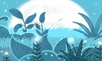 属兔的人2018年会走什么运？