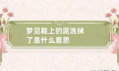 梦见鞋上的泥洗掉了是什么意思