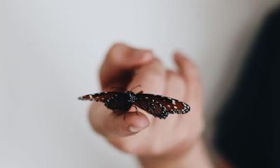 陷入爱情后，双鱼座最藏不住的4个软肋