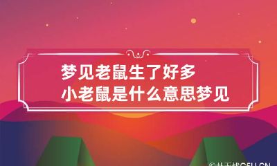 梦见老鼠生了好多小老鼠是什么意思 梦见老鼠生了很多老鼠