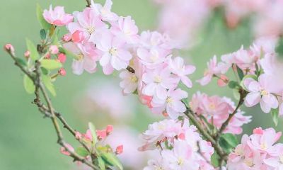 表面听话，其实心里期盼被偏爱的处女座，她们也是有敏感一面