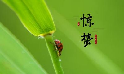 2023年惊蛰节气出生的人是什么星座？性格好吗？