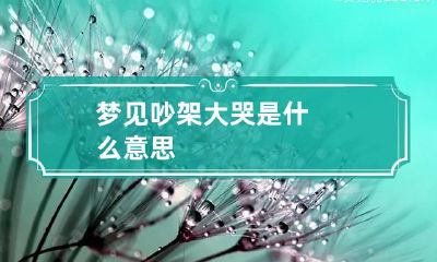 梦见吵架大哭是什么意思