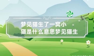 梦见猫生了一窝小猫是什么意思 梦见猫生了一窝小猫是什么预兆