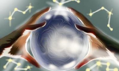 74年属虎人2021的全年运势分析 财运如何