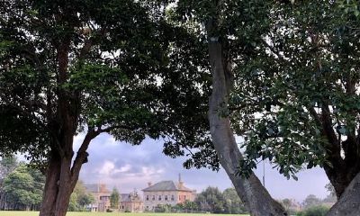 天蝎和金牛，互相吸引住互相摧残，却避无可避，冤家路窄终不能幸免