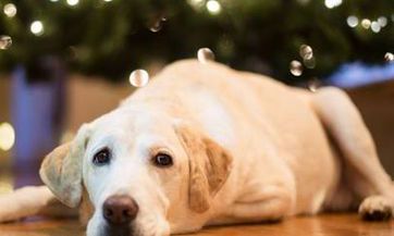 苏珊米勒每日运势21年06月18日