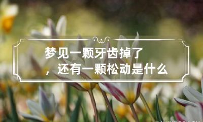 梦见一颗牙齿掉了，还有一颗松动是什么意思