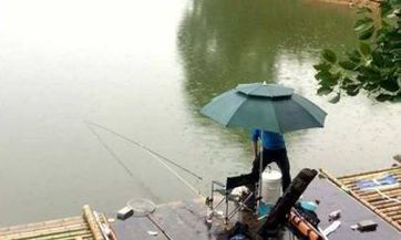 艾菲尔 六月桃花满开的四大生肖