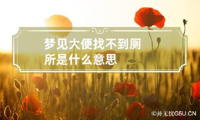 梦见大便找不到厕所是什么意思