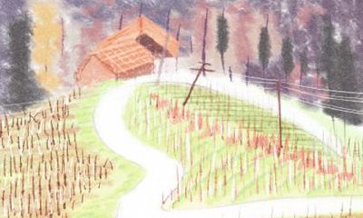 属兔的人在爱情里为啥总唱独角戏