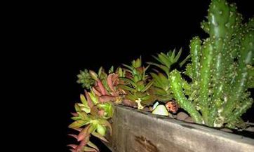 梦见梦见门关不严　周公解梦之梦到梦见门关不严