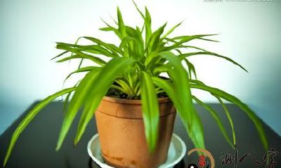 看八字怎么测算财运