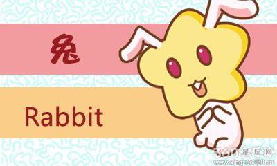 属兔人在淘宝上买过最贵的东西是什么