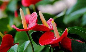 闹闹女巫店一周星座运势（8月27日-9月2日）