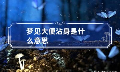 梦见大便沾身是什么意思