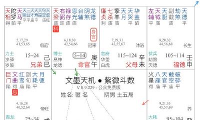 「紫微斗数」人生道路台本分析(上）