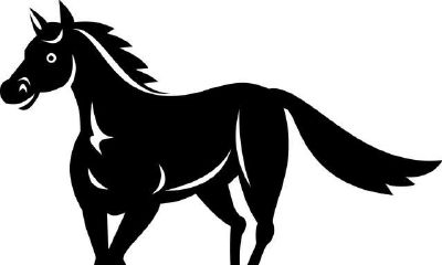 流年伤官见官波动非常大，大运财官相生收益颇丰