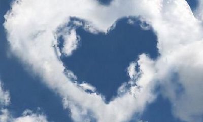 属猪人的情感与婚姻生活