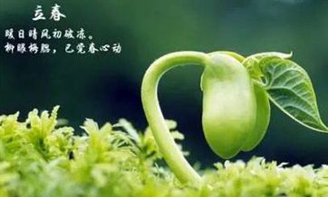 财运最好的水象星座排名