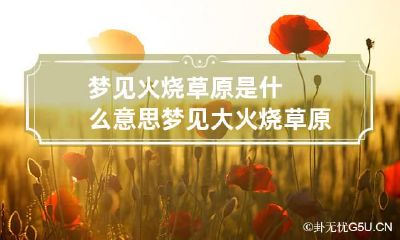梦见火烧草原是什么意思 梦见大火烧草原火势很旺