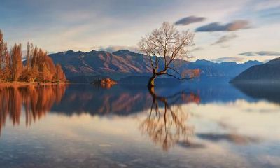 双鱼座，在平凡世界里非凡的活著，才算是一种完美的烂漫