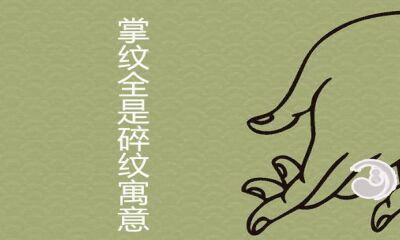 掌纹都是碎纹怎么样