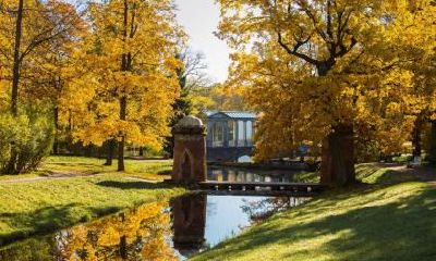 立秋出生的属鸡好吗？属鸡的几点出生最好命？