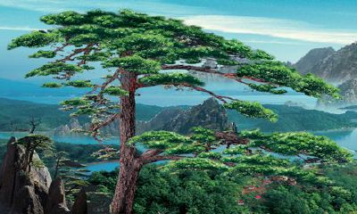 八字看2023年财气