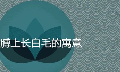 手臂上长白毛的寓意是吉祥是凶猛的