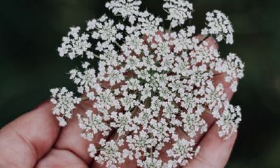 晚年时期财源广进的手相