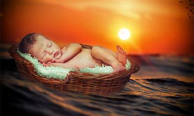 2023年农历正月的兔宝宝小名可爱活泼一点