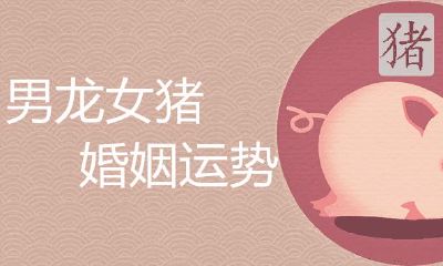 男龙女猪是上等婚姻吗