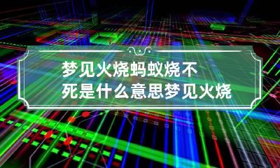 梦见火烧蚂蚁烧不死是什么意思 梦见火烧蚂蚁成群