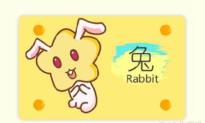 属兔人在什么状态下最会和人暧昧