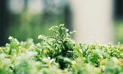 2020年农历三月初一出生五行缺火男孩名字