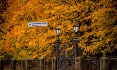 立秋贴秋膘是什么意思？立秋吃什么好？