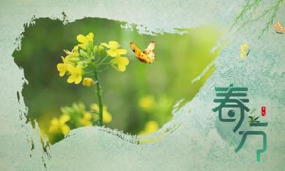 春分吃什么菜养生？如何春分进补