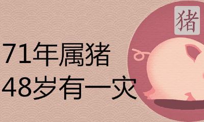 71年生48岁的猪有灾难是什么意思？