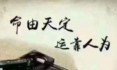 2023年属马属相的运势