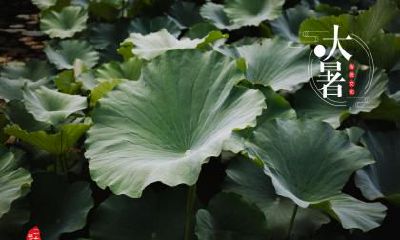 芒种节气不能吃什么？芒种饮食禁忌