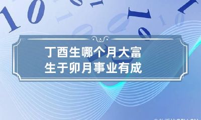 丁酉生哪个月大富 生于卯月事业有成
