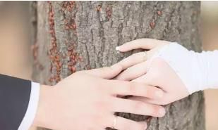 八字合婚，什么样的婚姻一婚到底最圆满！