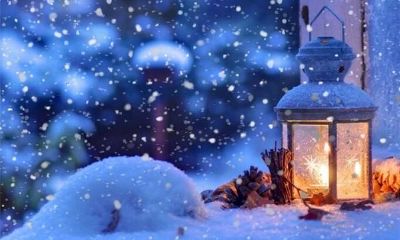 梦到自己在山里捡菌子