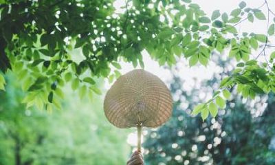 2019年芒种节气时辰是几点几分？