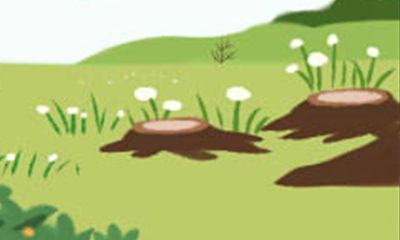 优雅、亲和 这些生肖女是天女下凡