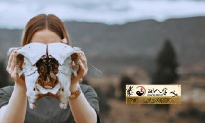 一个女人梦见躲藏