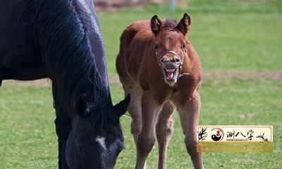 90年属马32岁有一劫