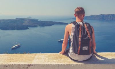 猴女桃花贵人是什么生肖？