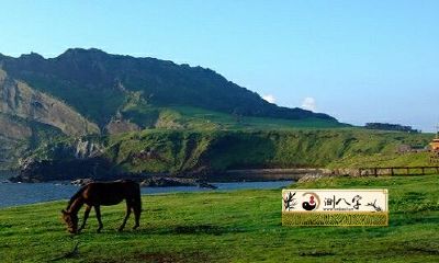 1990年属马女性2022婚姻运势详尽分析